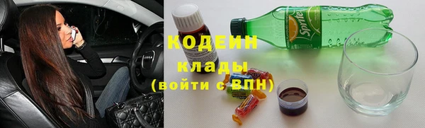 дурь Надым
