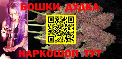 шишки Гатчина