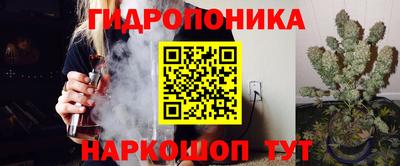 прущие крисы Берёзовский