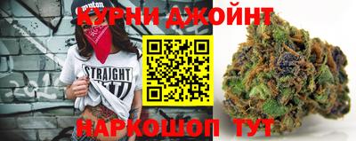 бошки Гагарин