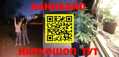 шишки Гатчина