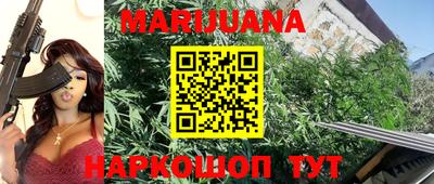 шишки Гатчина