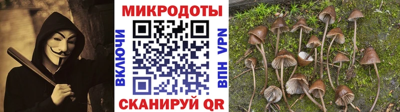 Галлюциногенные грибы GOLDEN TEACHER Борисоглебск