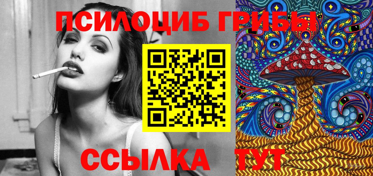 где найти   Борисоглебск  Псилоцибиновые грибы прущие грибы 