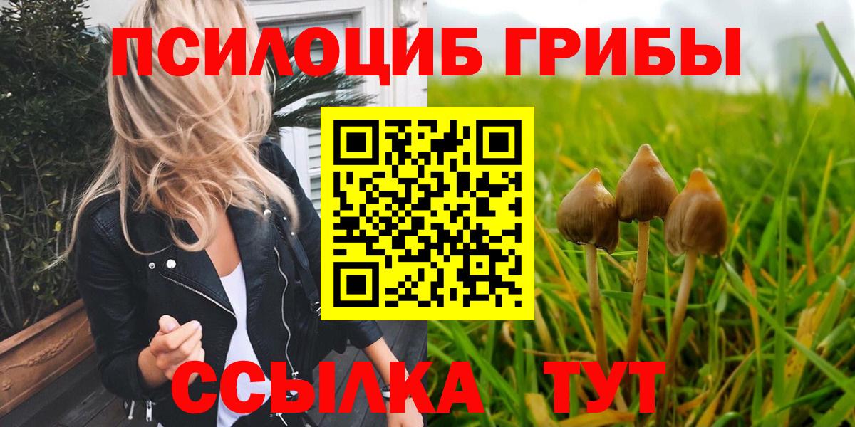 Борисоглебск  Галлюциногенные грибы GOLDEN TEACHER  Вход с VPN  Псилоцибиновые грибы Psilocybe 