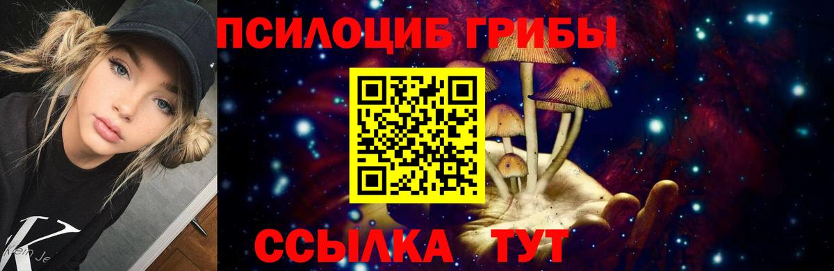 продажа наркотиков  Вход с VPN  Борисоглебск  Псилоцибиновые грибы Magic Shrooms 